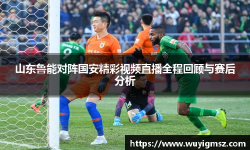 山东鲁能对阵国安精彩视频直播全程回顾与赛后分析